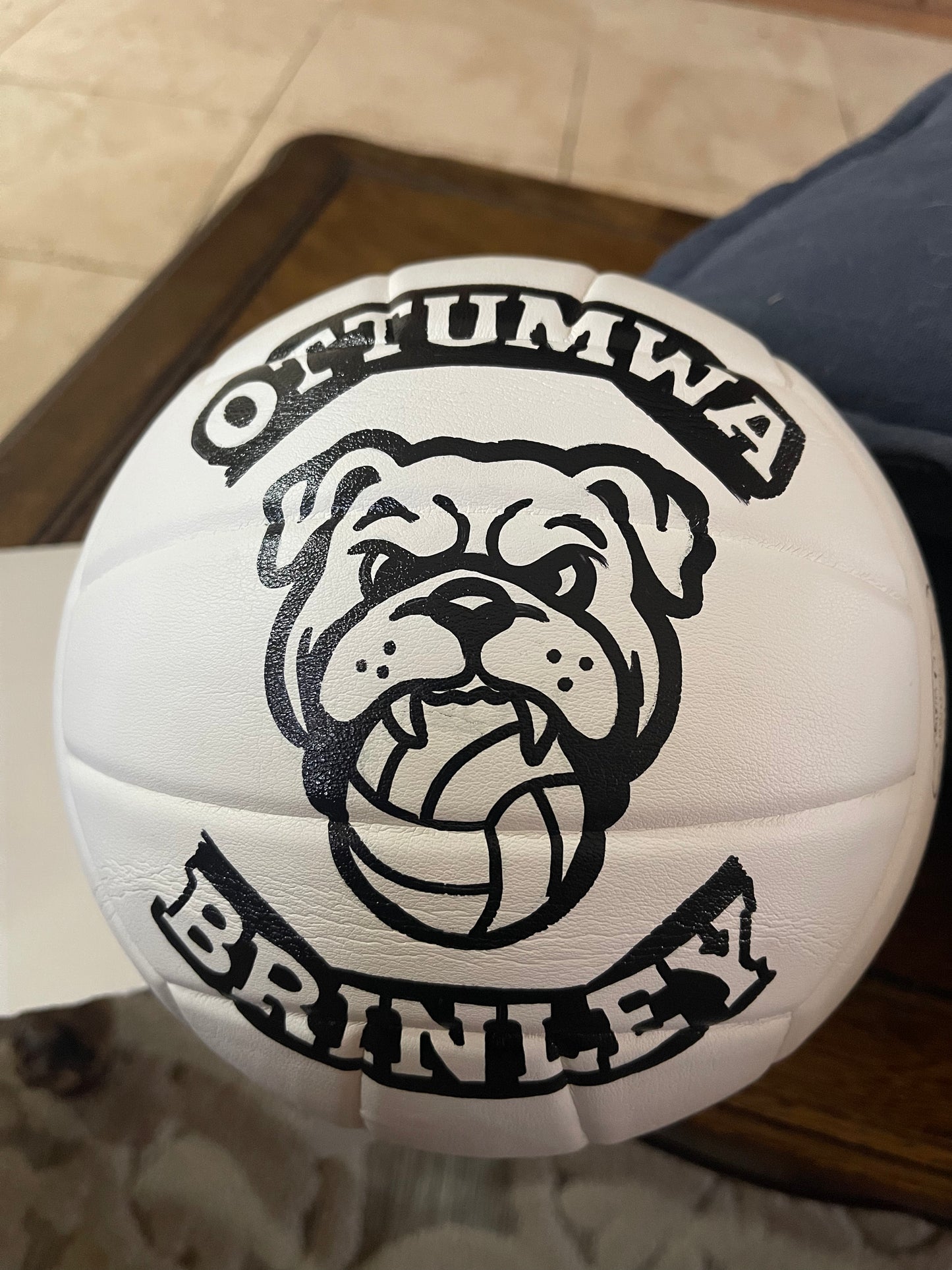 Ottumwa Volleyball
