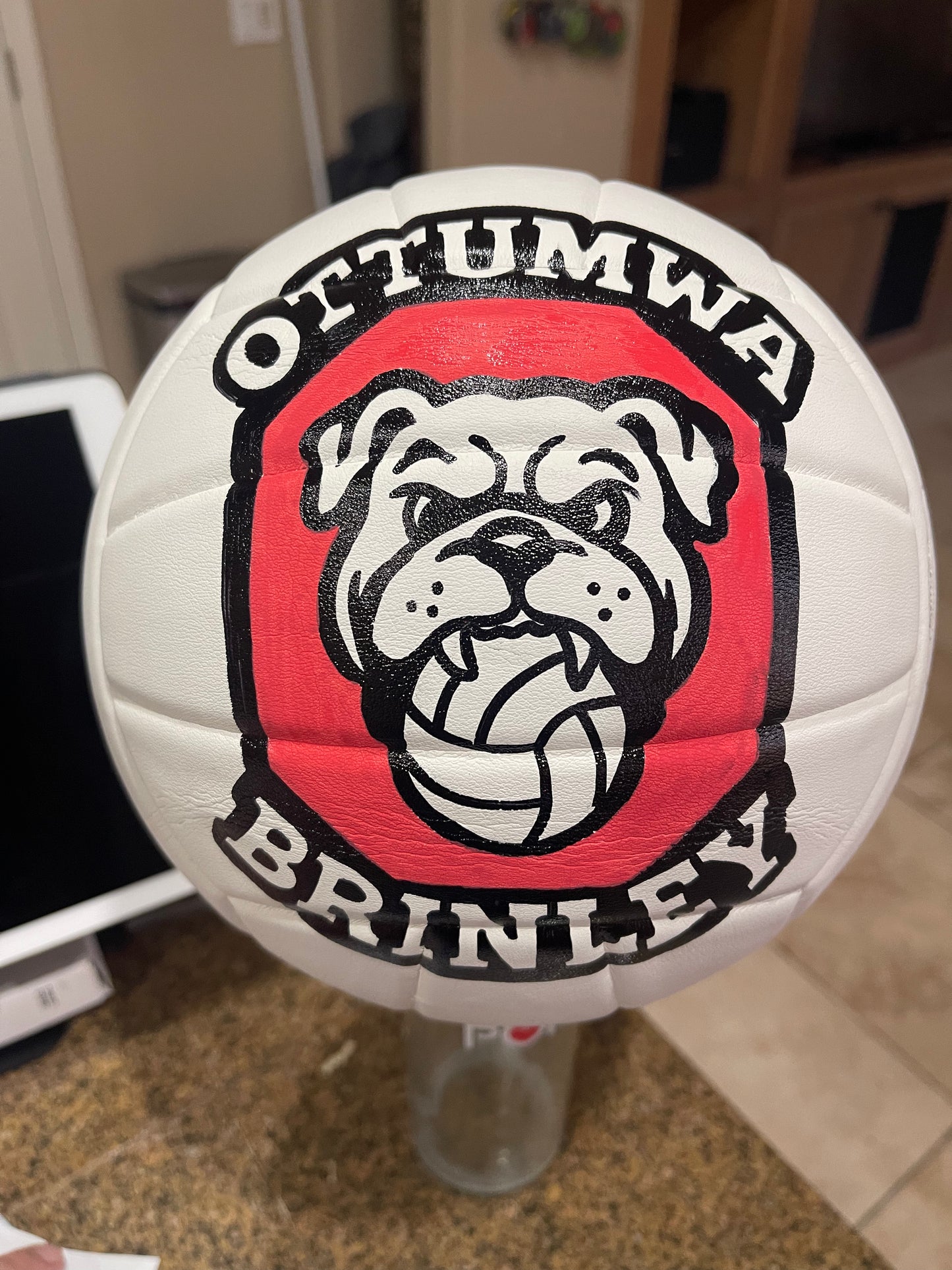 Ottumwa Volleyball