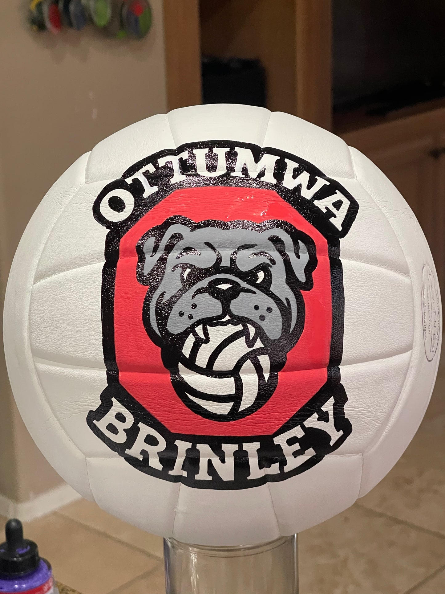Ottumwa Volleyball
