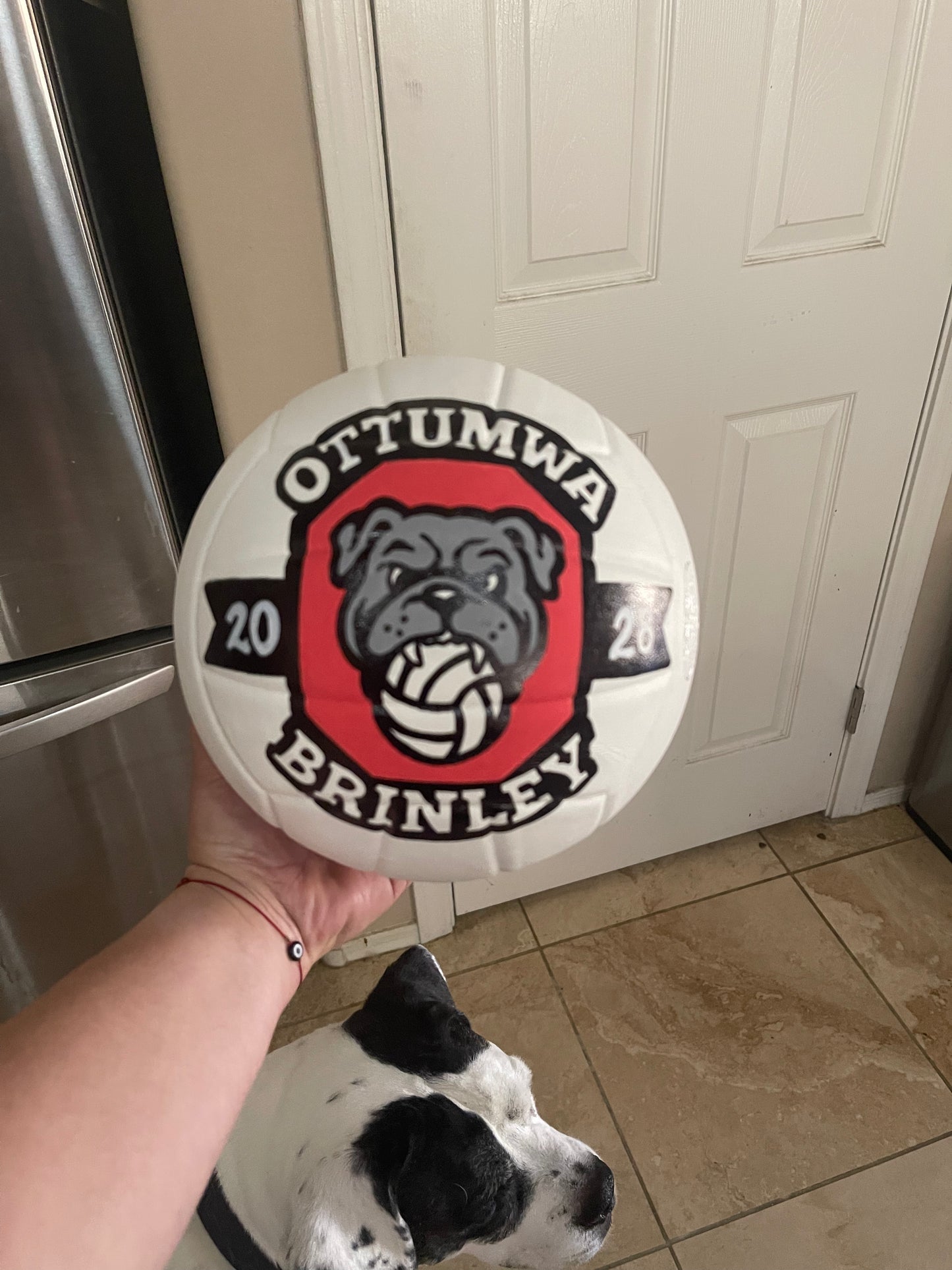 Ottumwa Volleyball