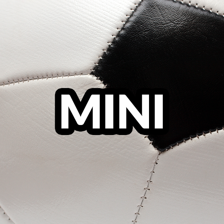 Custom Hand-painted MINI Soccer Ball