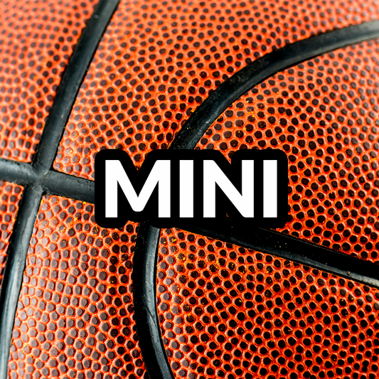 Custom Hand-painted MINI Basketball