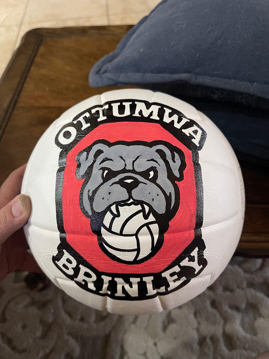 Ottumwa Volleyball
