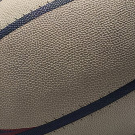 Custom Hand-painted Rugby Ball