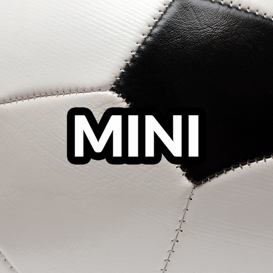 Custom Hand-painted MINI Soccer Ball