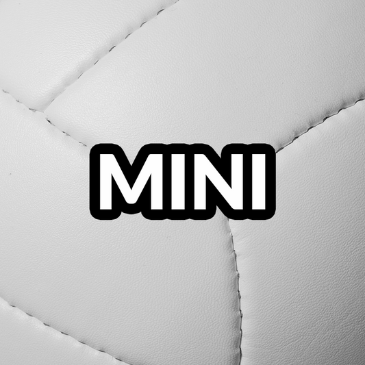 Custom Hand-painted MINI Volleyball