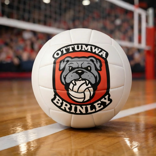 Custom Hand-painted Volleyball